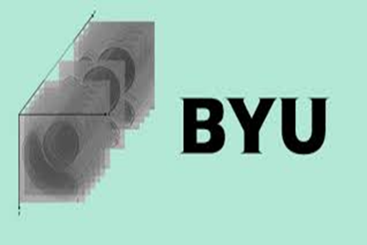 BYU - Locating Bacterial Flagellar Motors 2025