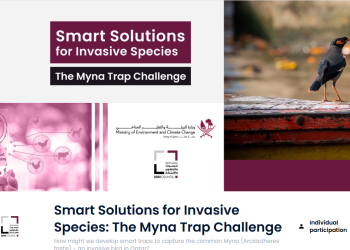 Smart Solutions for Invasive Species - The Myna Trap Challenge
