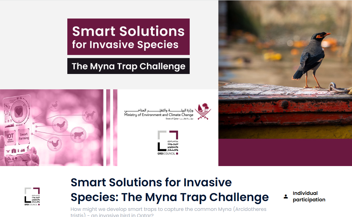 Smart Solutions for Invasive Species - The Myna Trap Challenge