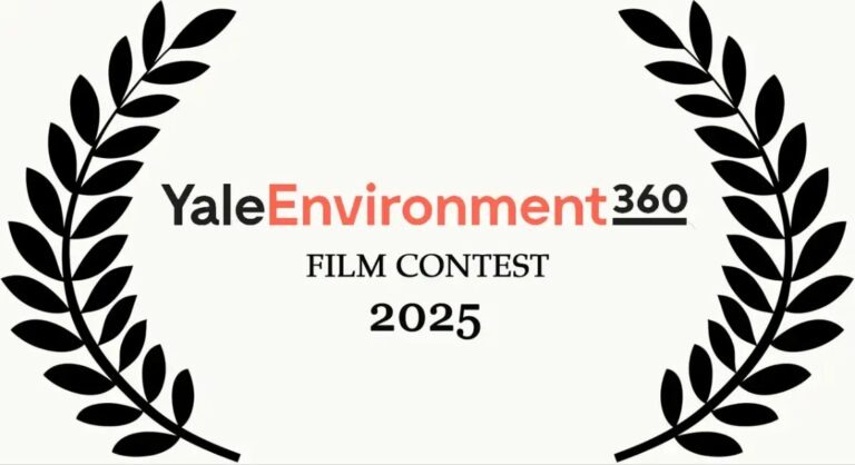 Yale Environment 360 Film Contest