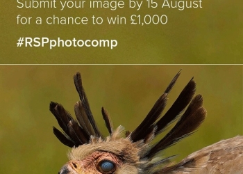 2025 Royal Society Publishing Photography Competition