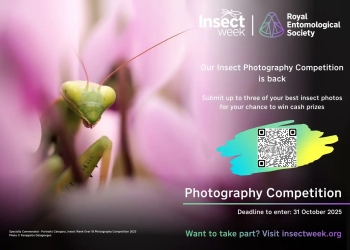 Royal Entomological Society 2025 Insect Photography Competition