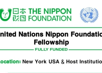 United Nations Nippon Foundation Fellowship 2026 in USA