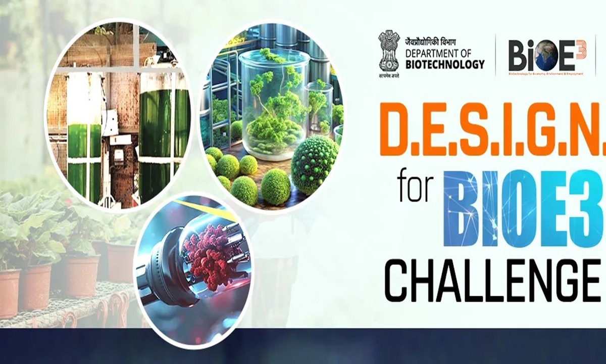 D.E.S.I.G.N for BioE3 Challenge