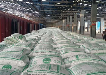 Sustainable Packaging Solution for Edible Salt Transport
