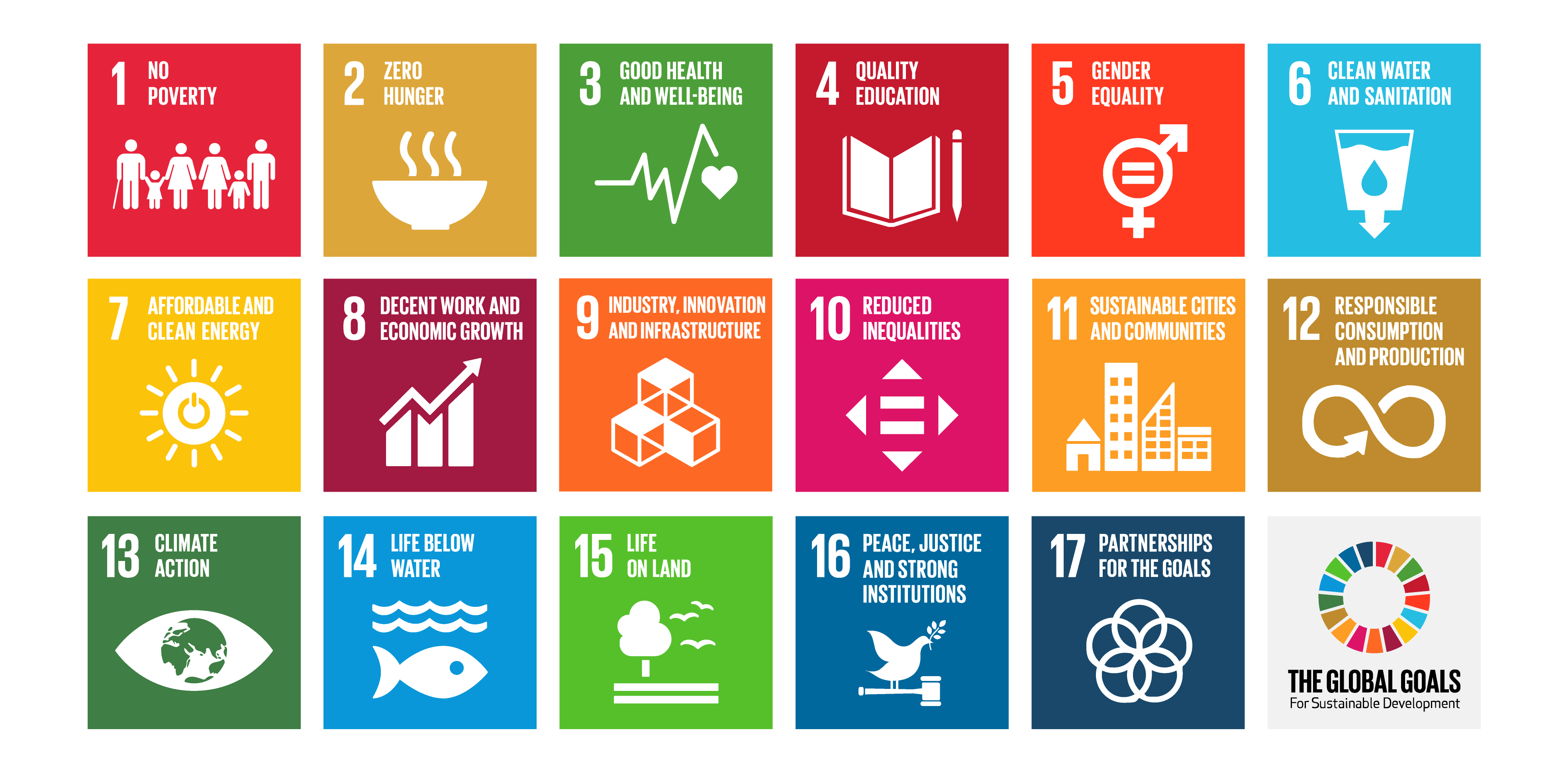 Master of Science in Public Policy and Human Development