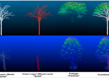 3D Surface Fuels & Vegetation Modeling Prize Challenge